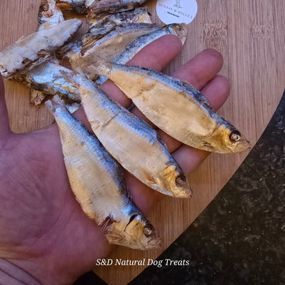 Fish Sprats